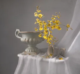 Yellow Orchid Still Life