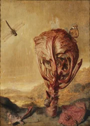 A Red Cabbage, a Snail, a Butterfly, a Dragonfly, a Bee and a Wood Louse in a Landscape