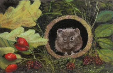 Field Mouse in Drain Pipe, 2020