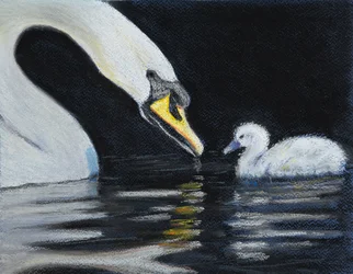 Follow Mummy.