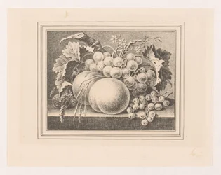 Composition with Fruits in a Frame