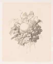 Composition of Fruit