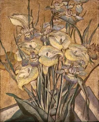 Irises and Calla Lilies