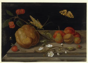 Still Life with Fruit, a Grasshopper and a Butterfly