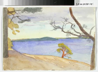 Shore Landscape