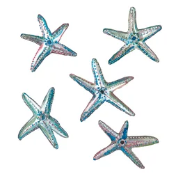 Star Fish, 2020