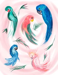 Tropical Bird Spiral, 2019