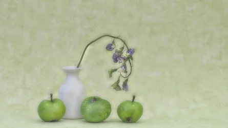 Delicate Botanical Still Life
