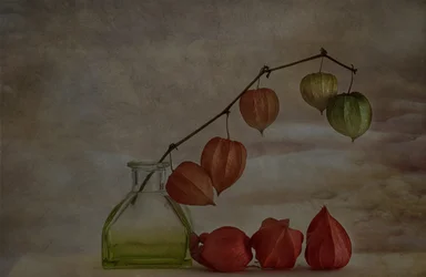 Quiet Autumn Lanterns