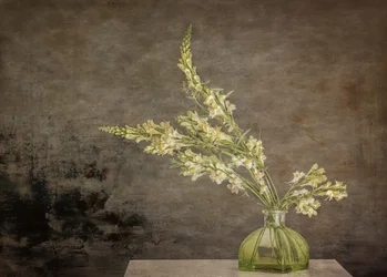 Rustic Floral Still Life