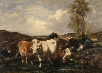 Herd