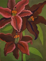 Deep Red Lilies