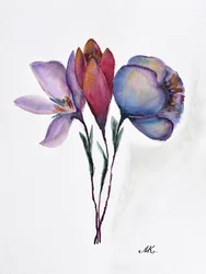 Colorful Watercolor Blooms
