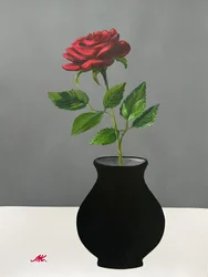 Elegant Red Rose