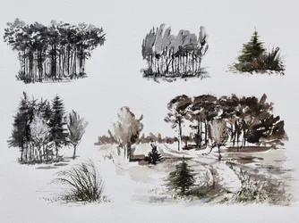 Forest Tree Studies