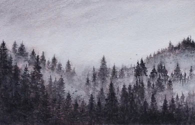 Misty Forest Landscape