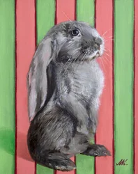Playful Lop Rabbit