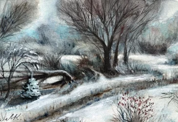Snowy Winter Path
