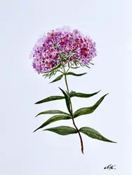 Vibrant Botanical Bloom