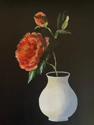 Vibrant Peony Bloom