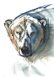 Arctic Icon