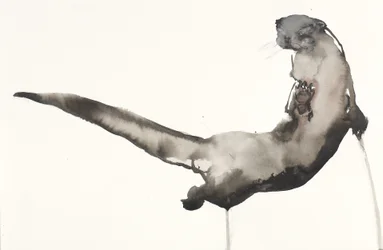 Back Awash (Otter)