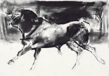 Black Bull