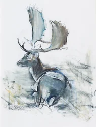 Buck in the Grass, 2006