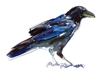Crow, 2022