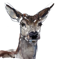 Deer (study), 2023
