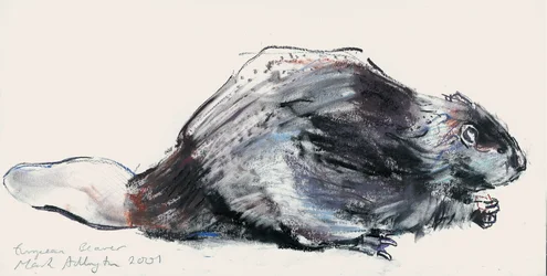 European Beaver (Study) 2001