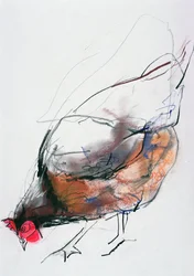 Feeding Hen, Trasierra