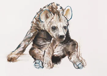 Hyaena Pup (head down)