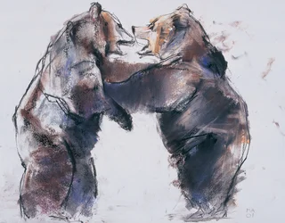 Playfight, 2001