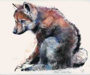 Polish Wolf Pup, 2001
