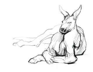 Resting Athlete (Red Kangaroo), 2012