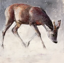 Roe Buck, Winter, 2000