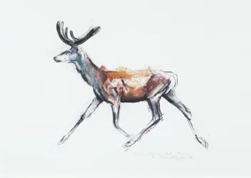 Running Stag in velvet, Polsen