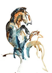 Spirit (Przewalski), 2013