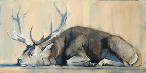 Stag, 2014