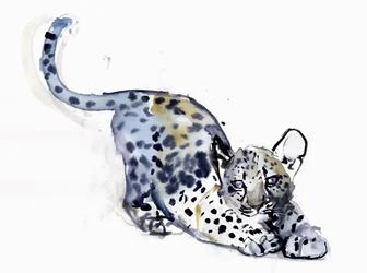Stretching Cub (Arabian Leopard)