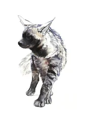 Striped Hyaena Pup, 2010