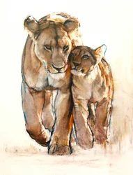 Tender, 2019