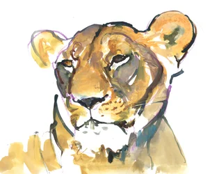 The Lioness