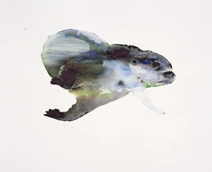 Underwater