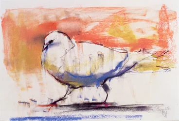 Walking Dove, Trasierra