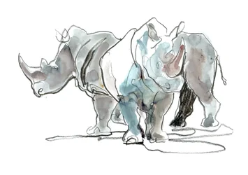 White Rhinos, Mount Etjo, 2020