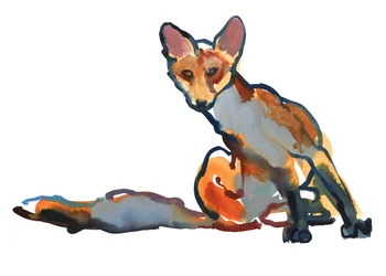 Young Vixen Grooming, 2021