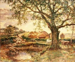 Hayricks