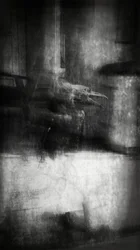 Beauty is a Witch Series Elvaston Castle - Crow
